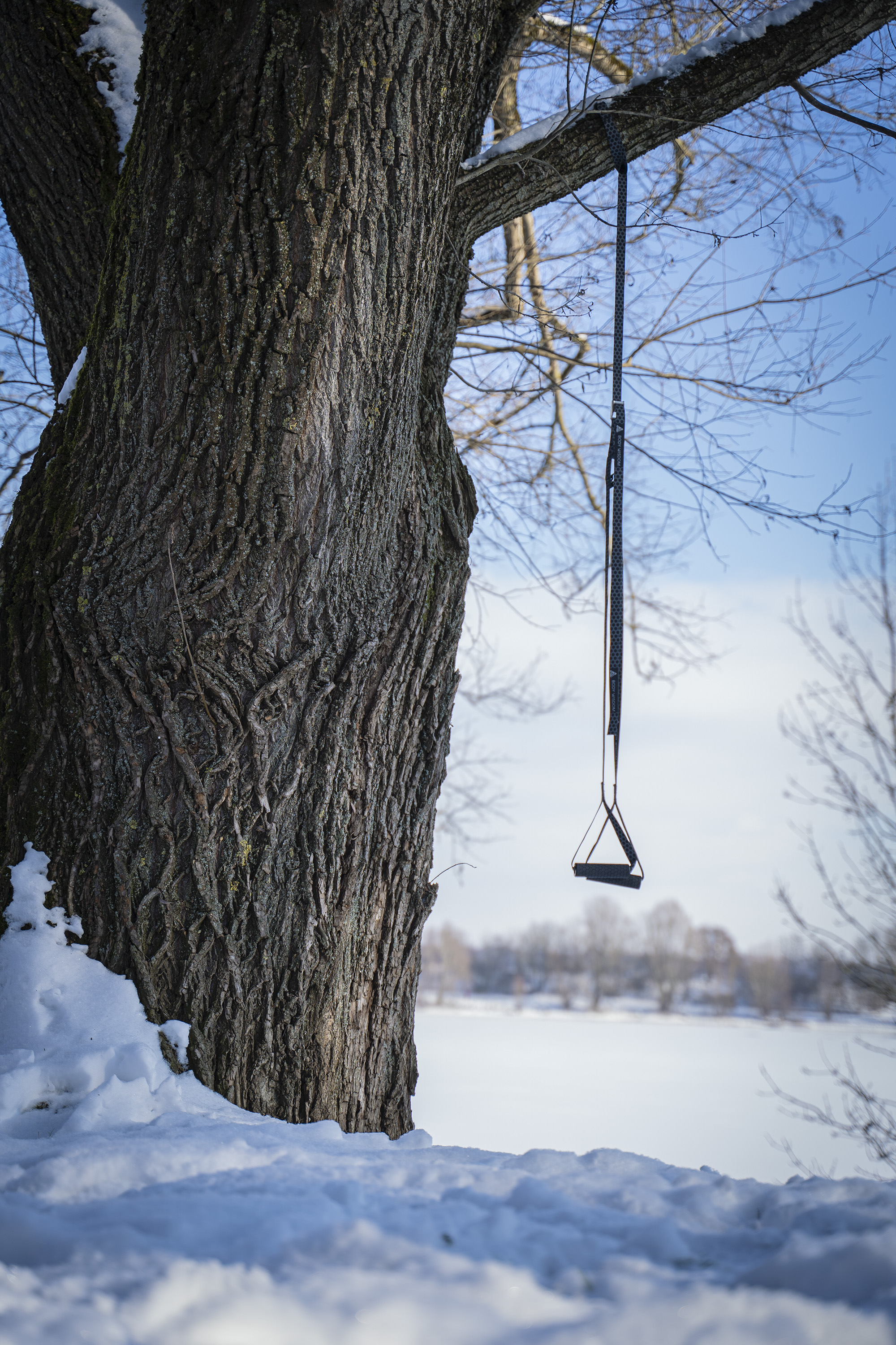 Sling Trainer hängt am Baum